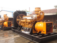 盐山发电机组的频率规格是如何确定的？